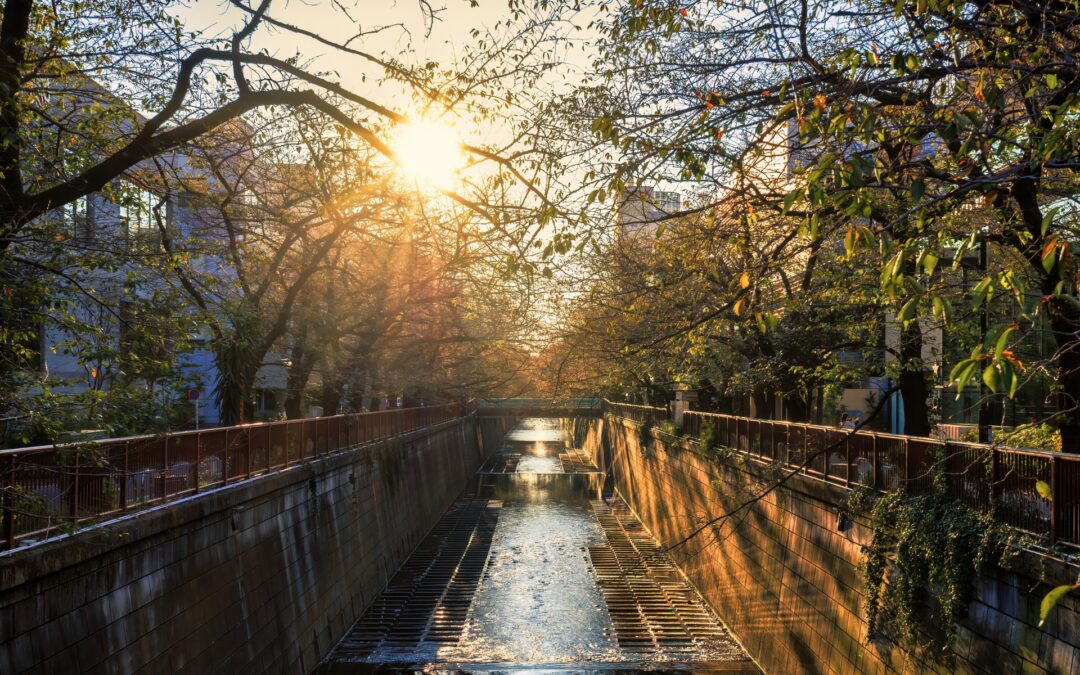 目黒区 青葉台から成田空港までの移動手段を徹底解説。 バス・タクシーからハイヤーまで