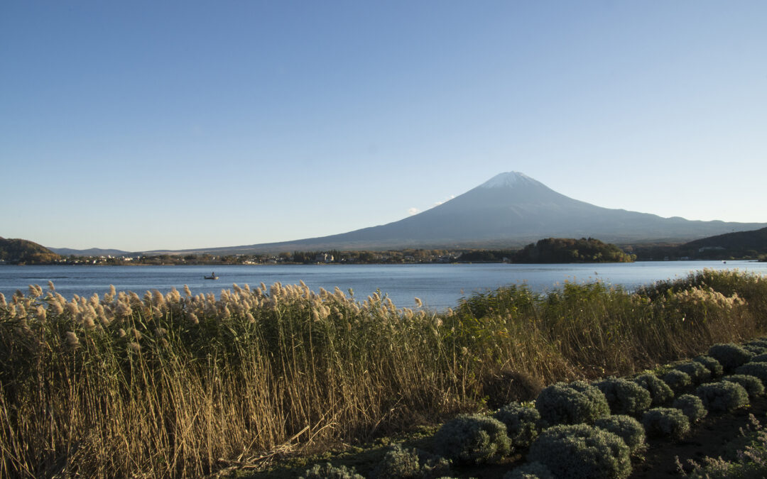 羽田空港から河口湖への移動手段は何がある？電車・バス・タクシーからハイヤーまでご紹介。